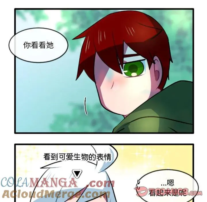 215 第27页