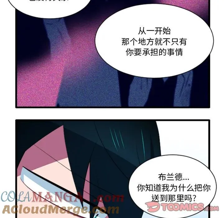 229 第17页
