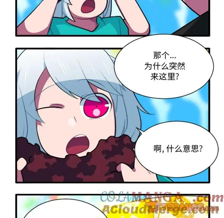 231 第11页