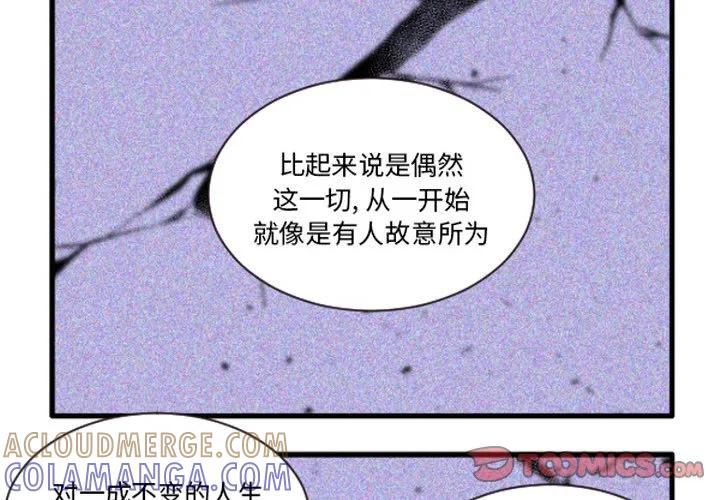 238 第3页