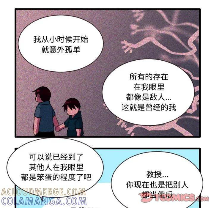 238 第13页