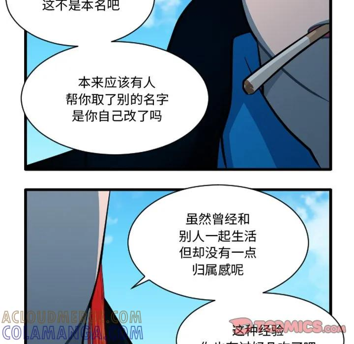 241 第17页