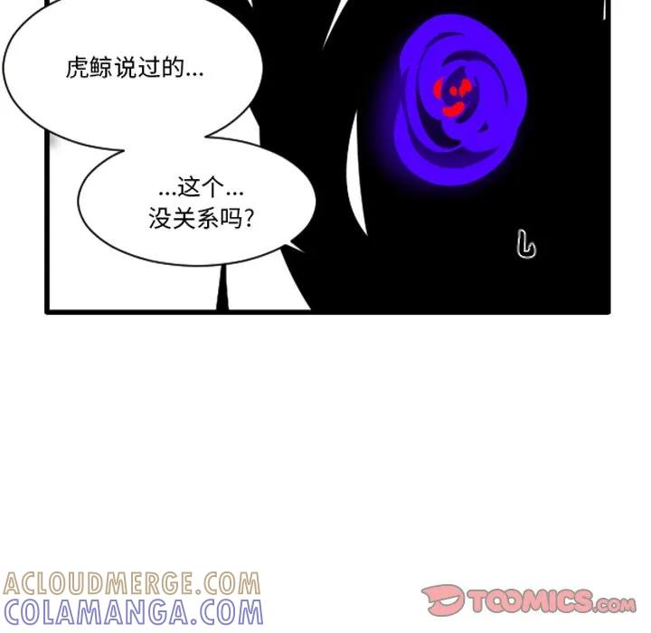 243 第31页