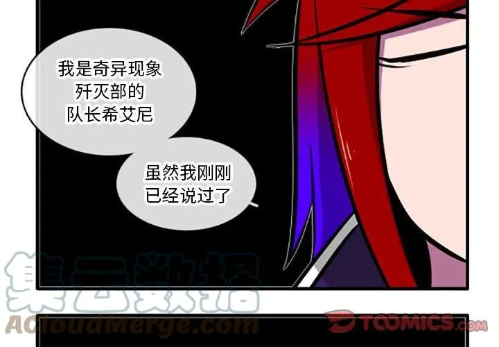41 第3页
