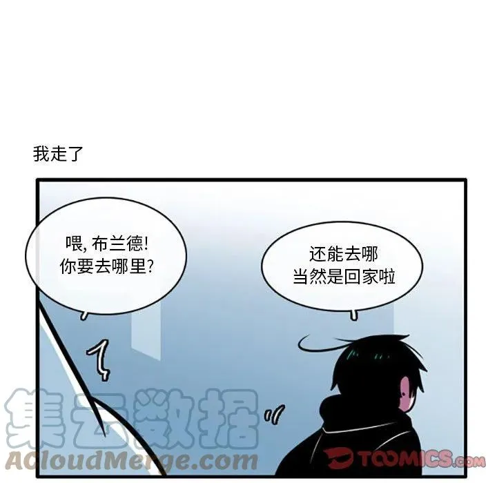 41 第19页