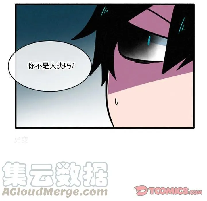 28 第23页