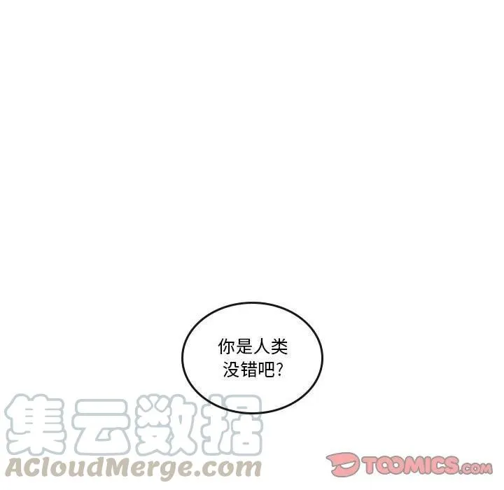 28 第31页