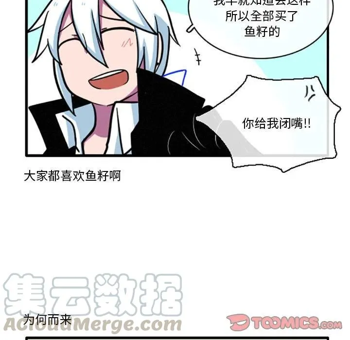 27 第13页