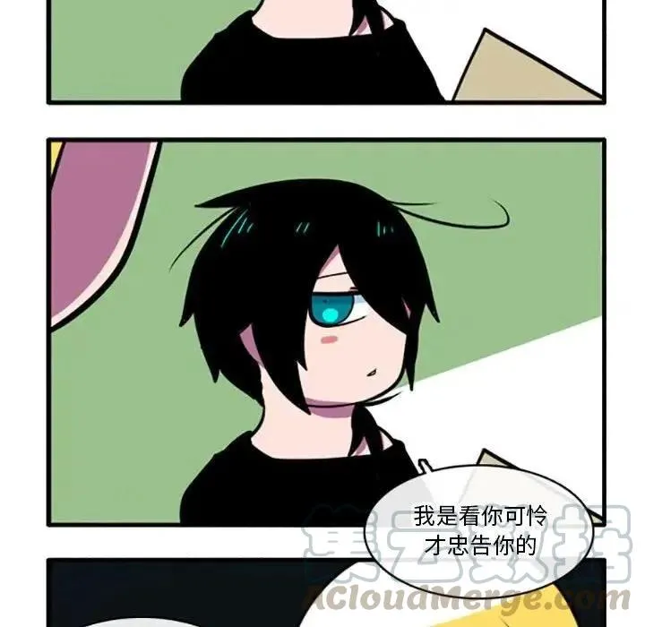 5 第11页