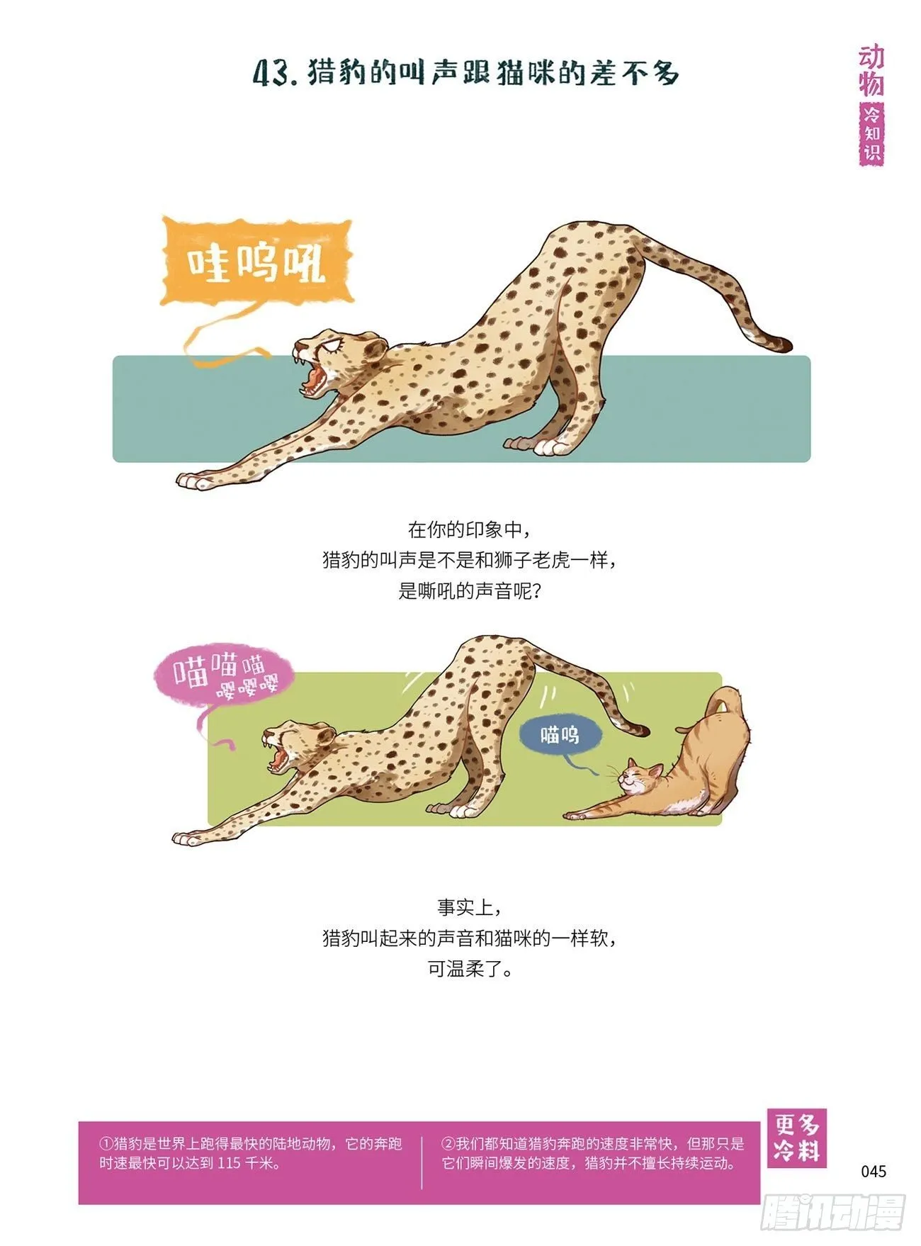 6 第2页