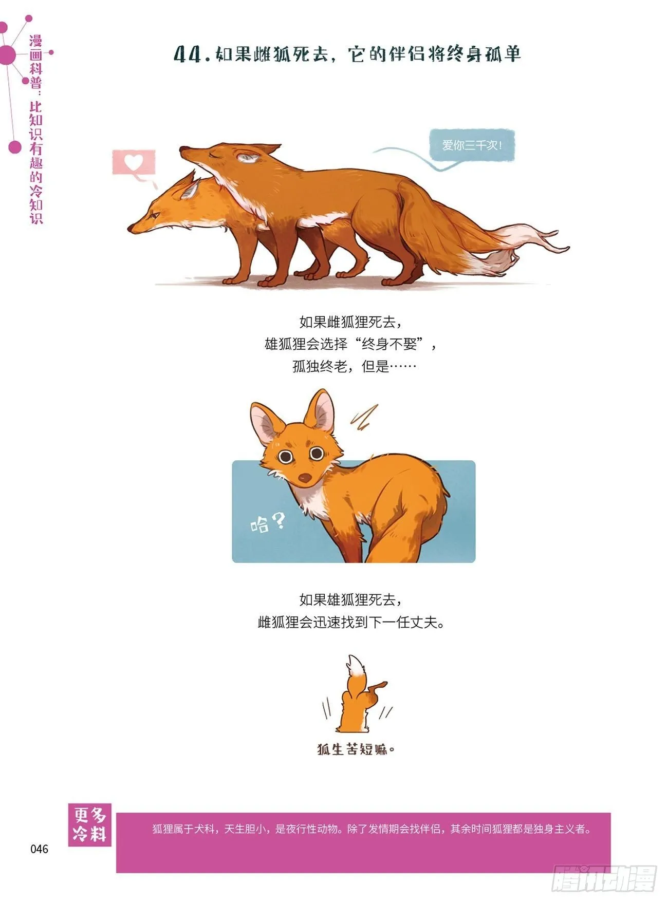 6 第3页