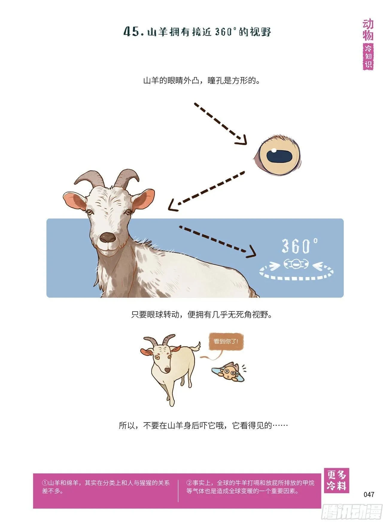 6 第4页
