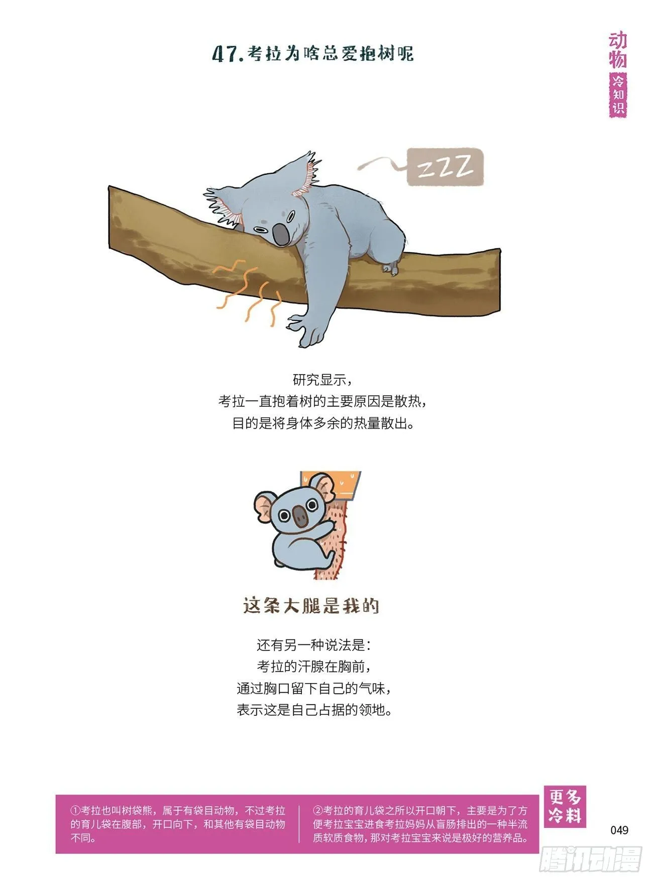 6 第6页