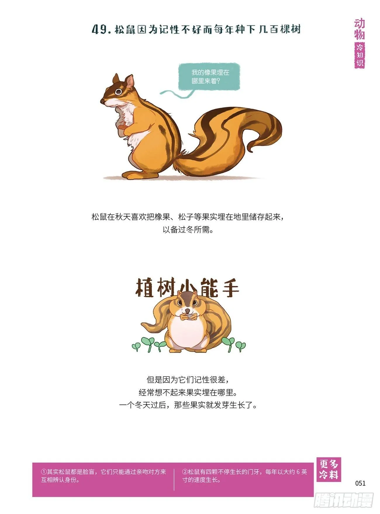 6 第8页