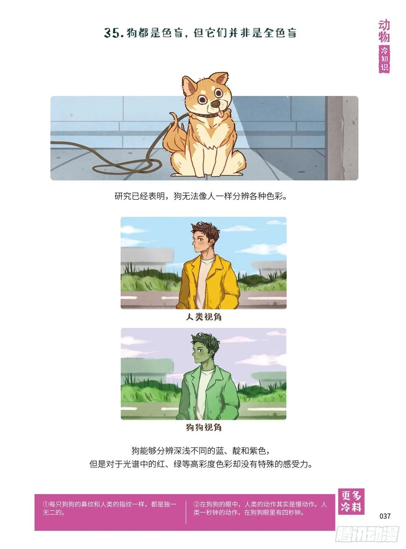 5 第3页