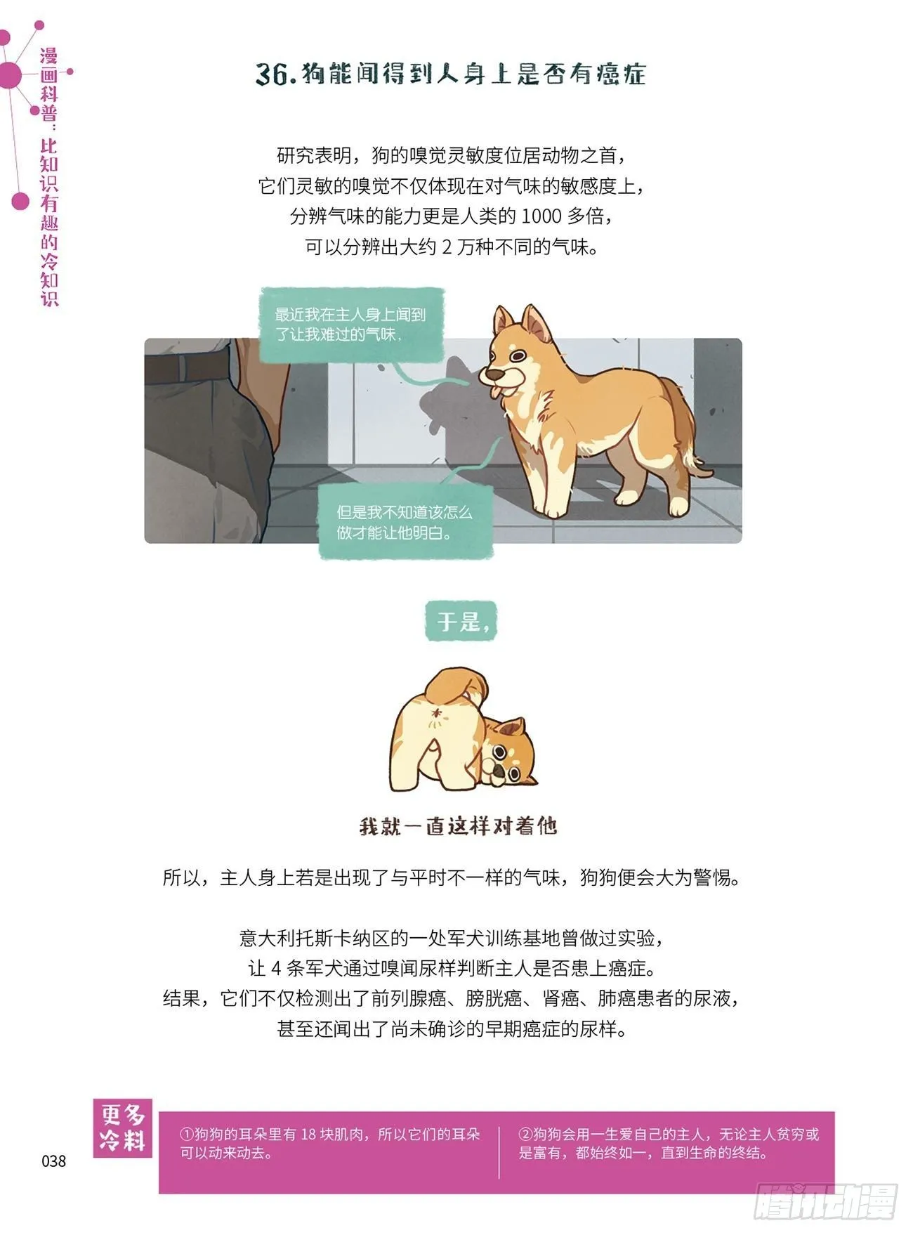 5 第4页