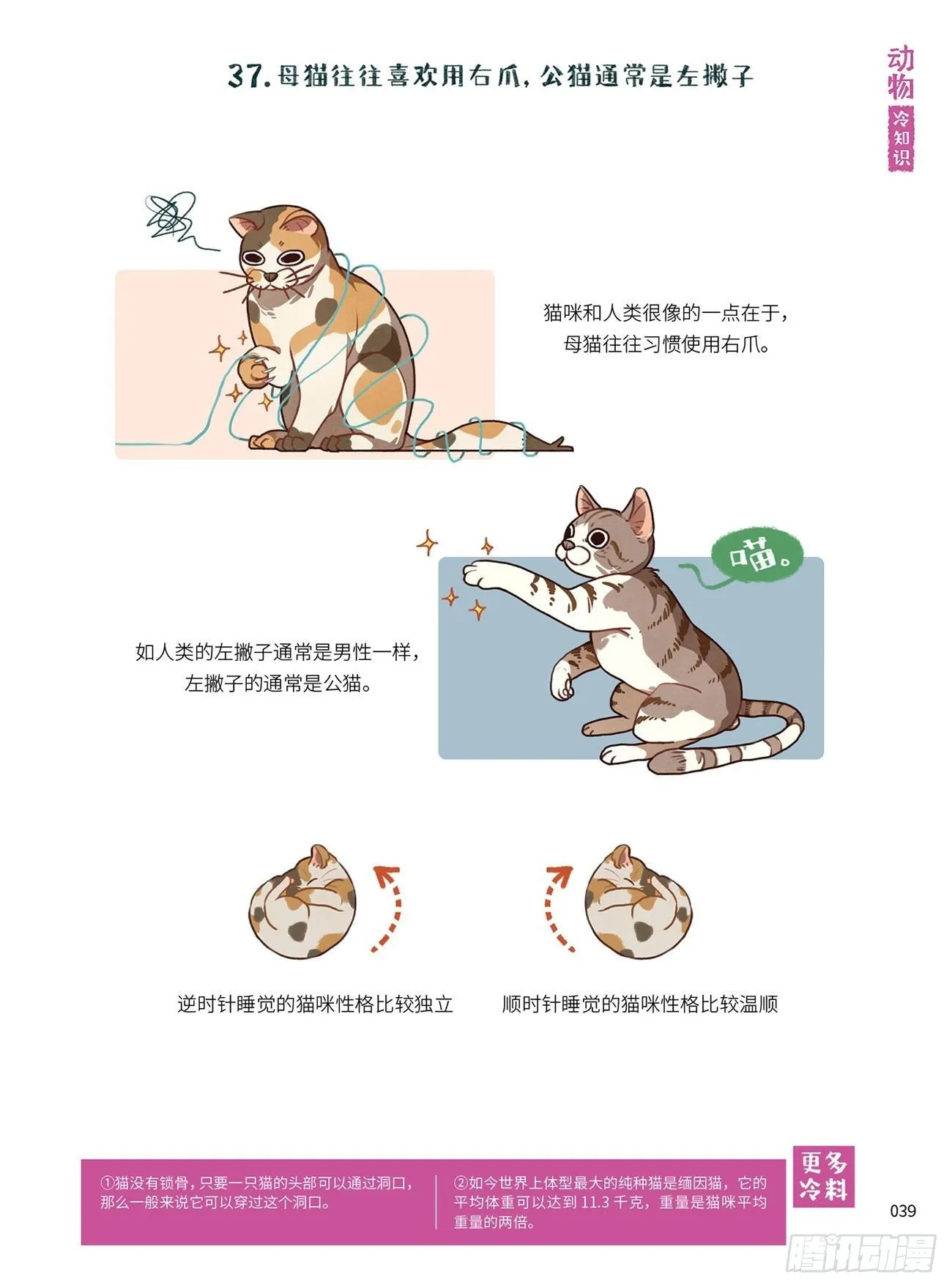 5 第5页