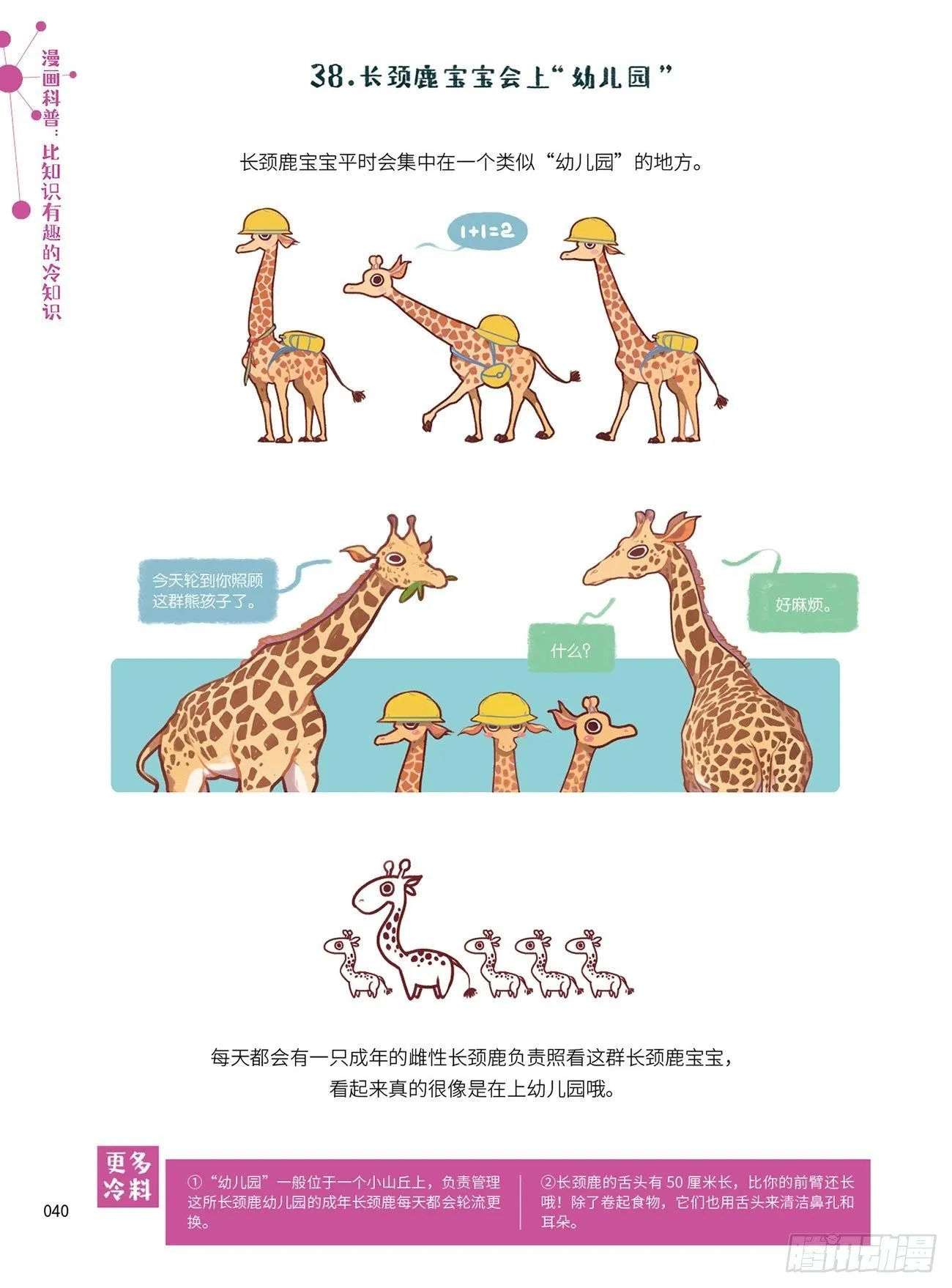 5 第6页
