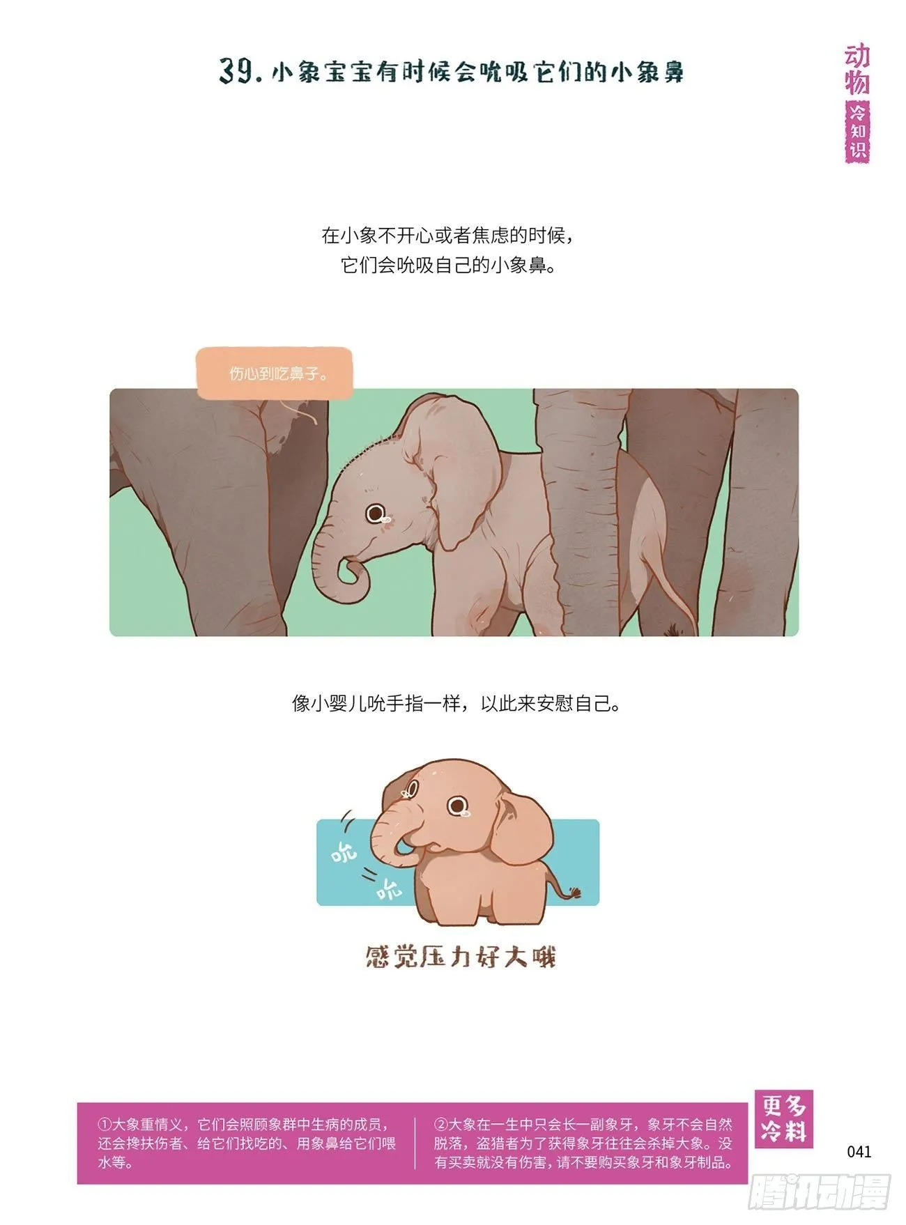 5 第7页