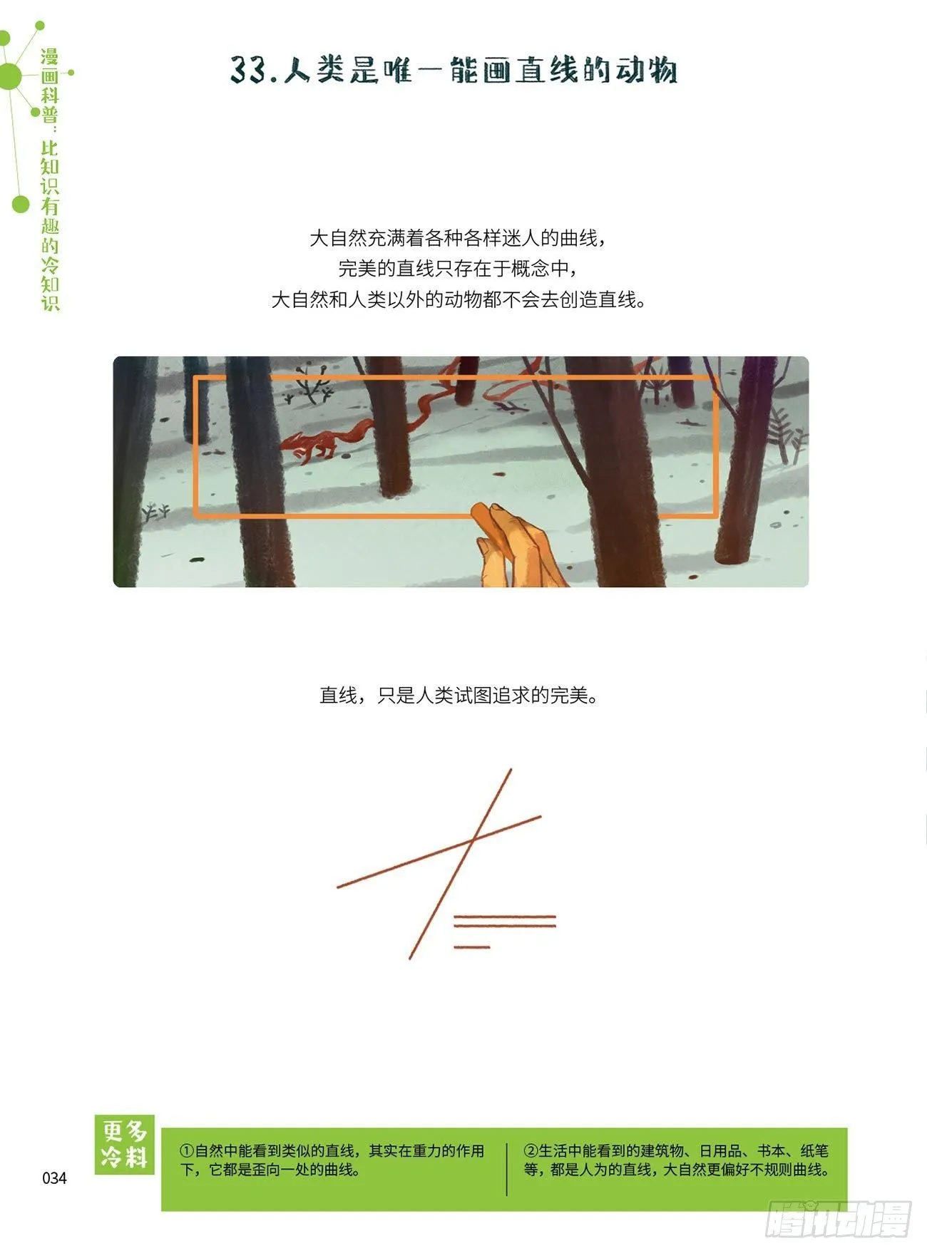 4 第8页