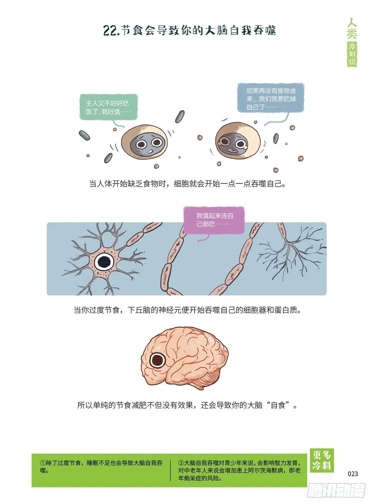 3 第6页