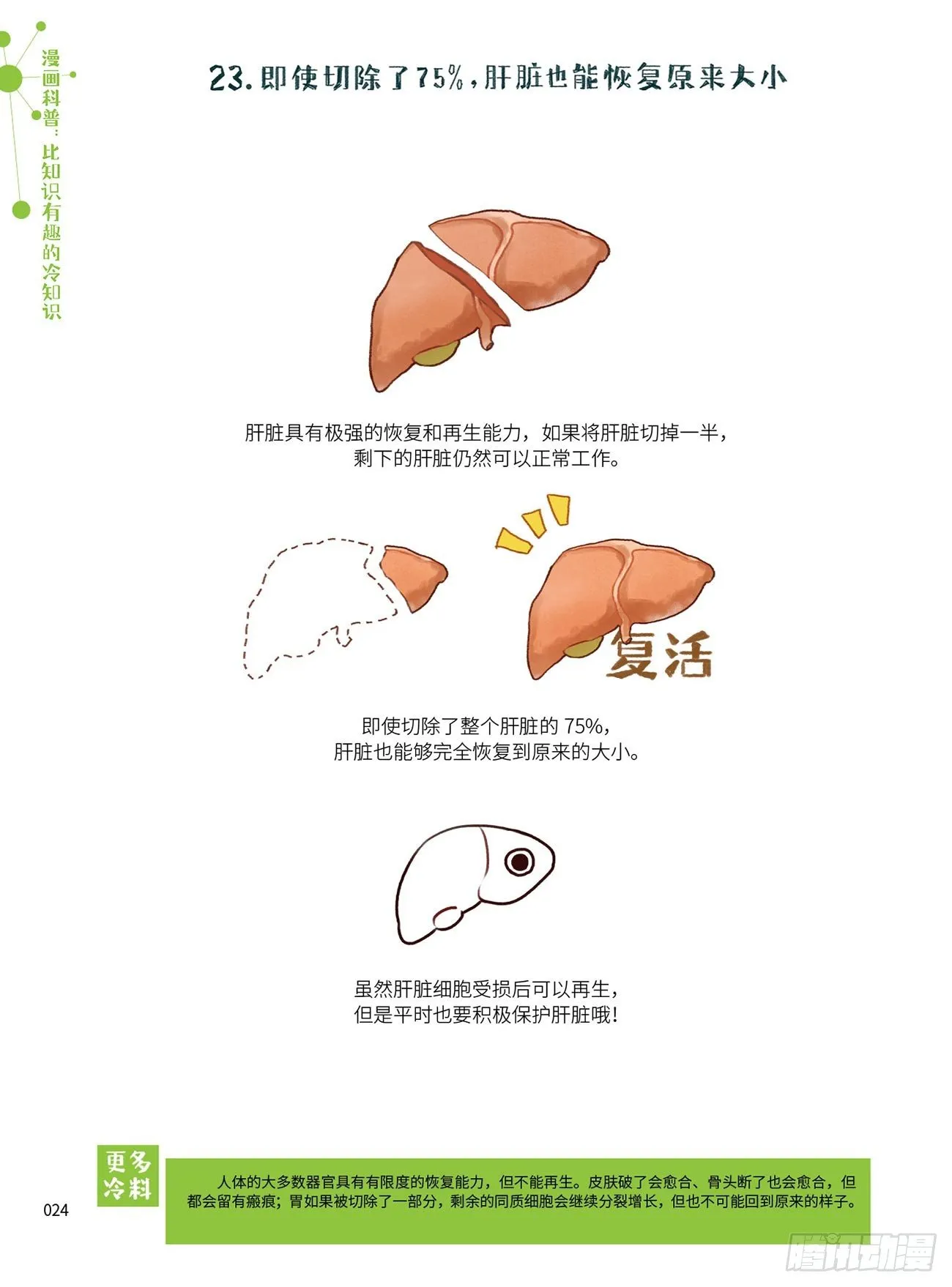 3 第7页