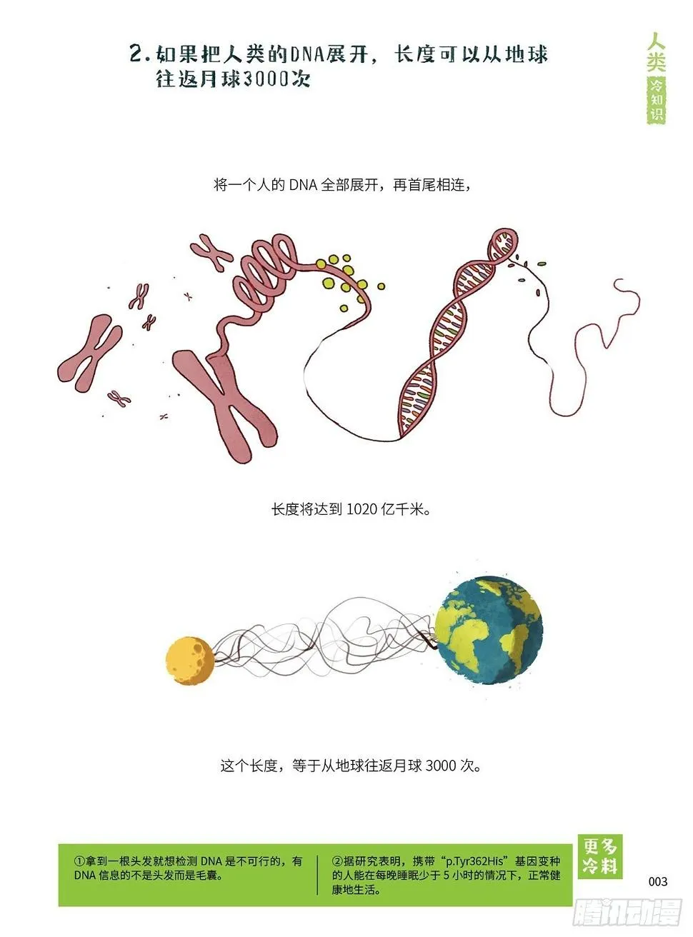 1 第4页