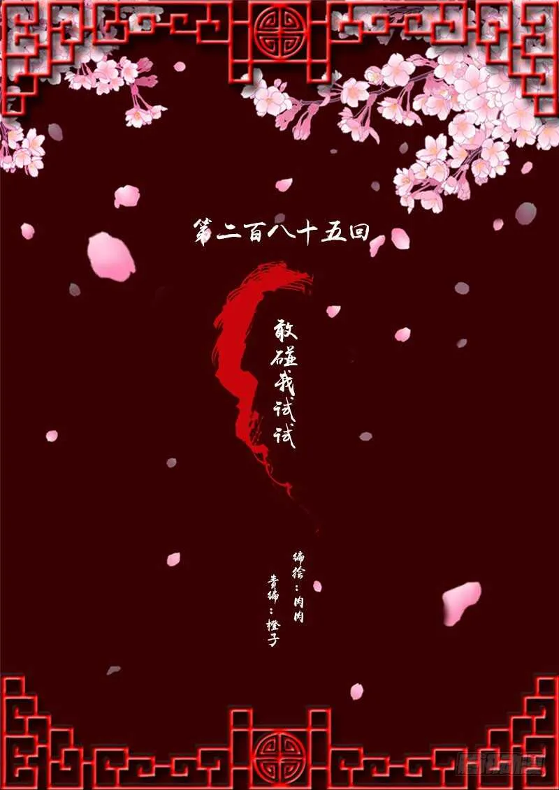 敢碰我一下试试 第1页