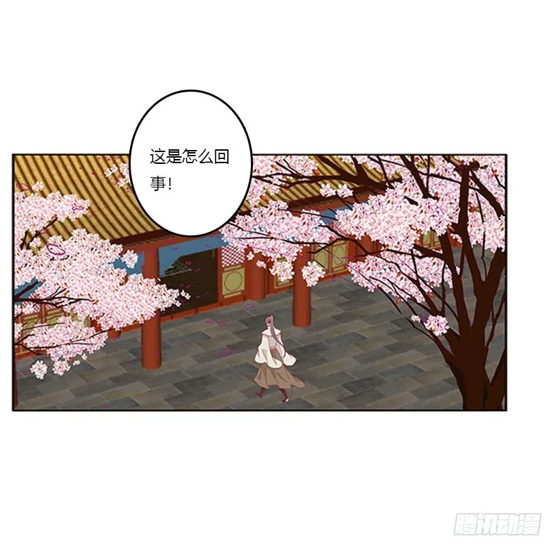 她不爱你 第7页