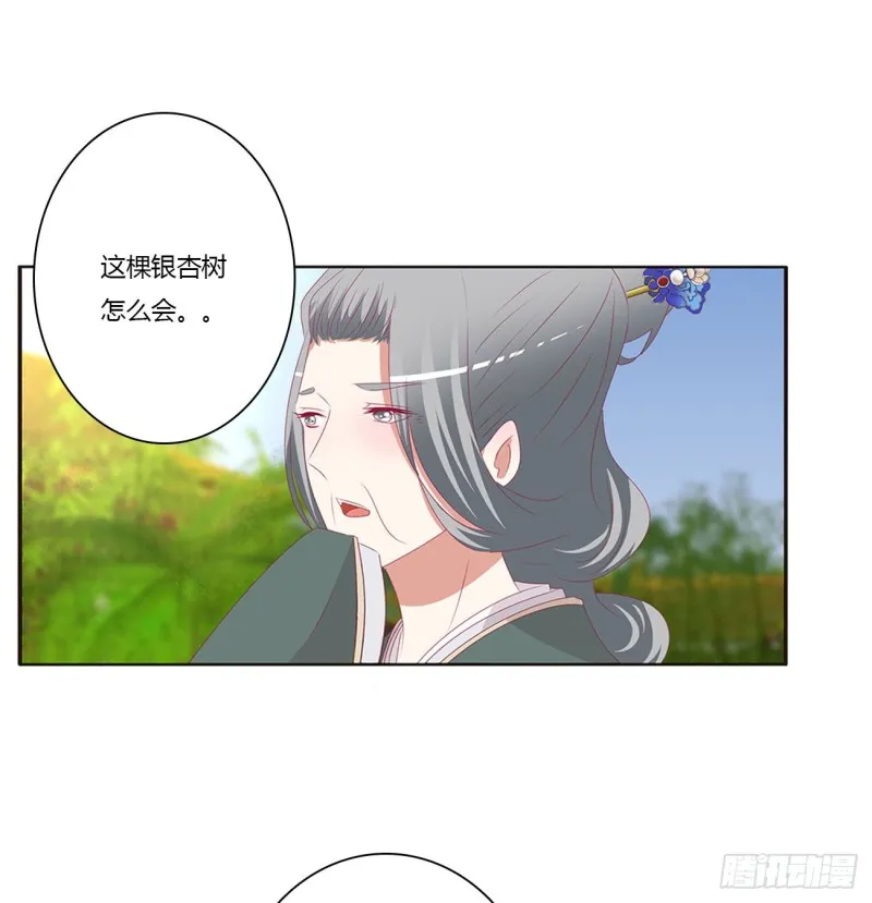 王府吉星 第17页