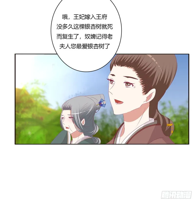 王府吉星 第18页