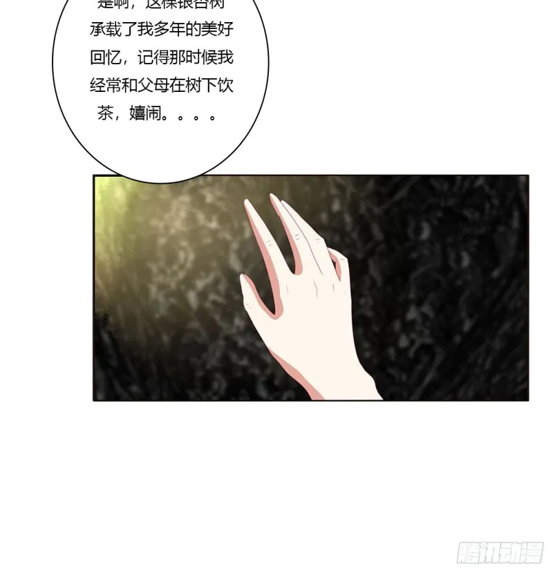 王府吉星 第20页