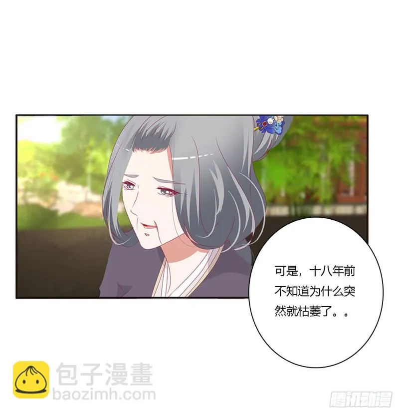王府吉星 第21页