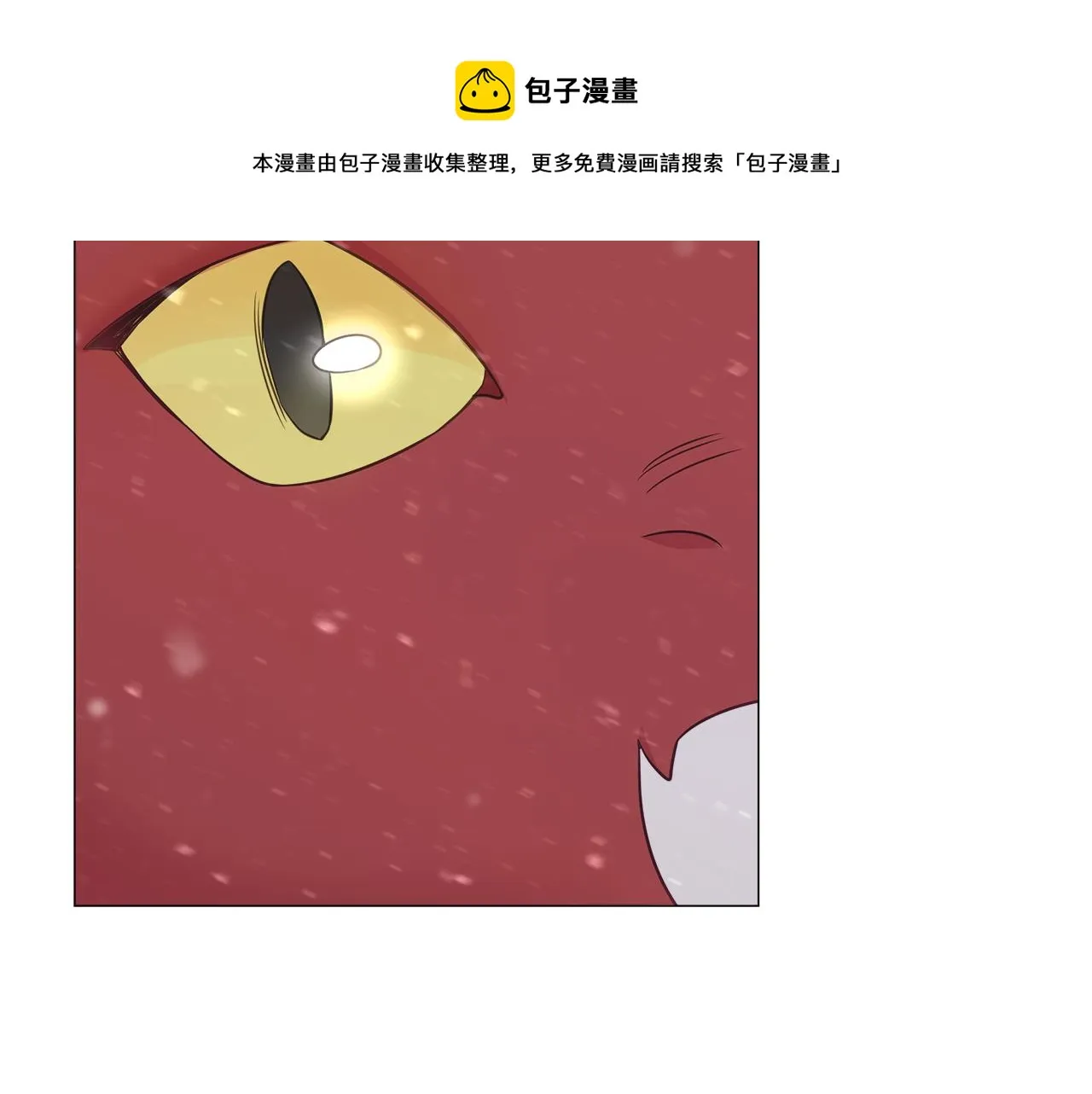 第46话 神秘少年 第29页