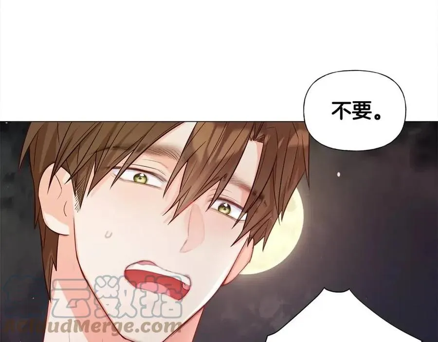 第38话 真正的皮衣 第37页