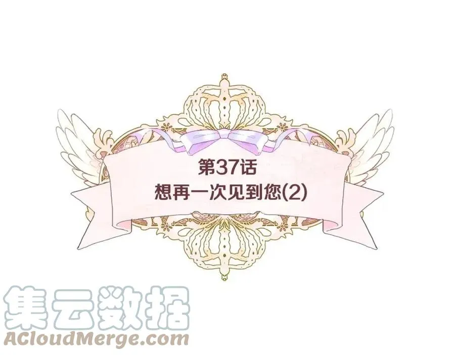第37话 夜市 第13页