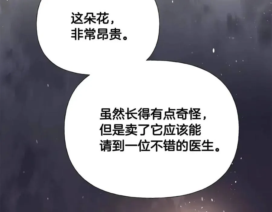 第37话 夜市 第204页