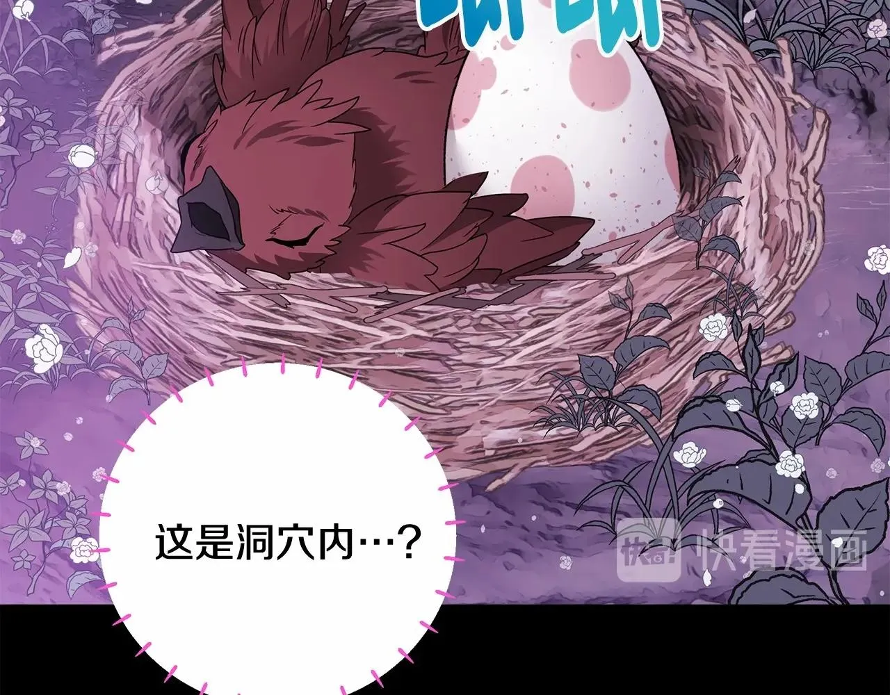 第13话 发誓守护您 第2页