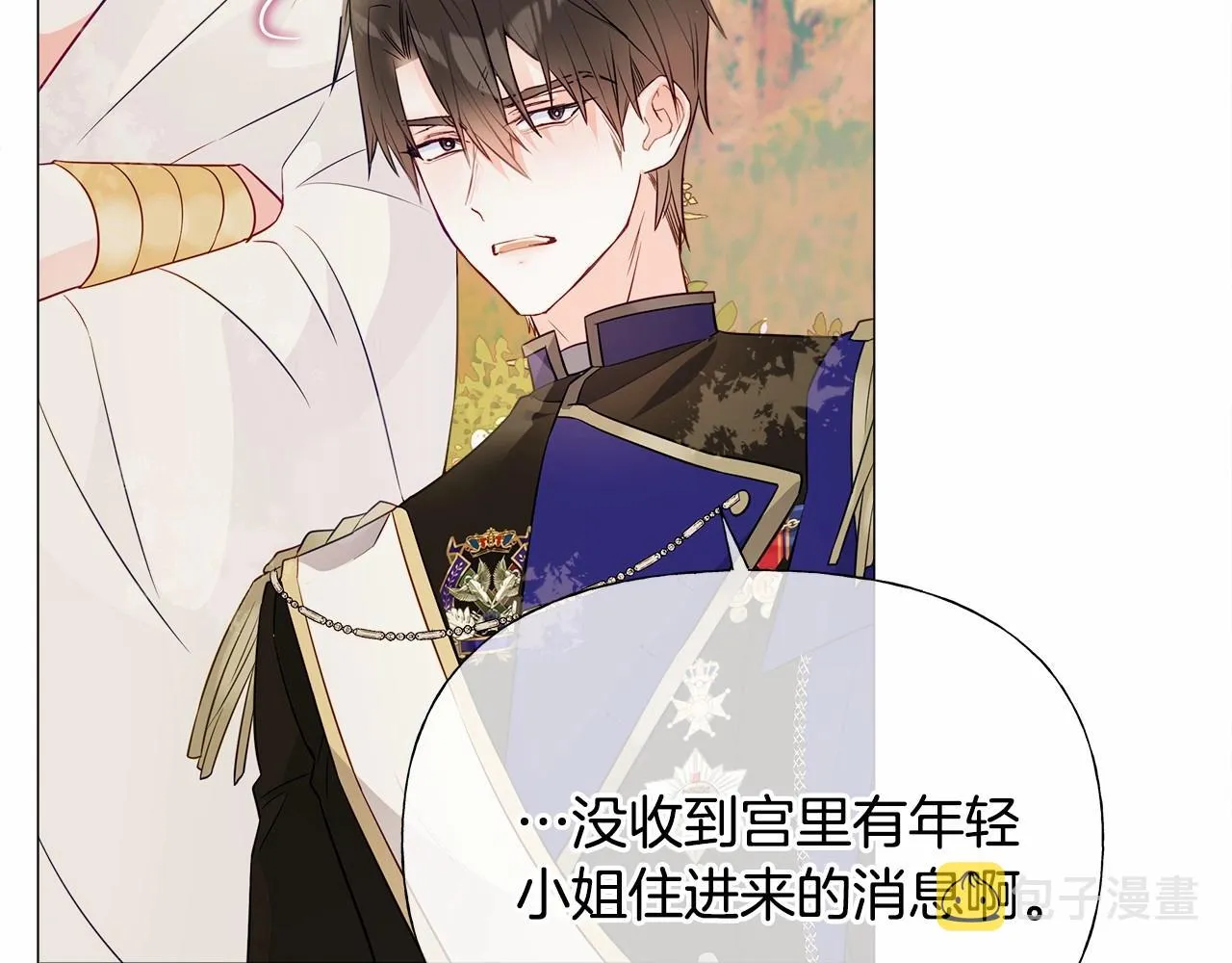 第29话 漂亮姐姐是皇子？ 第117页