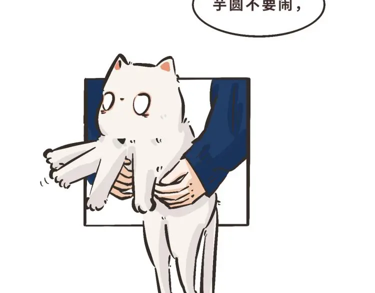 13 第二次被捡到 第25页
