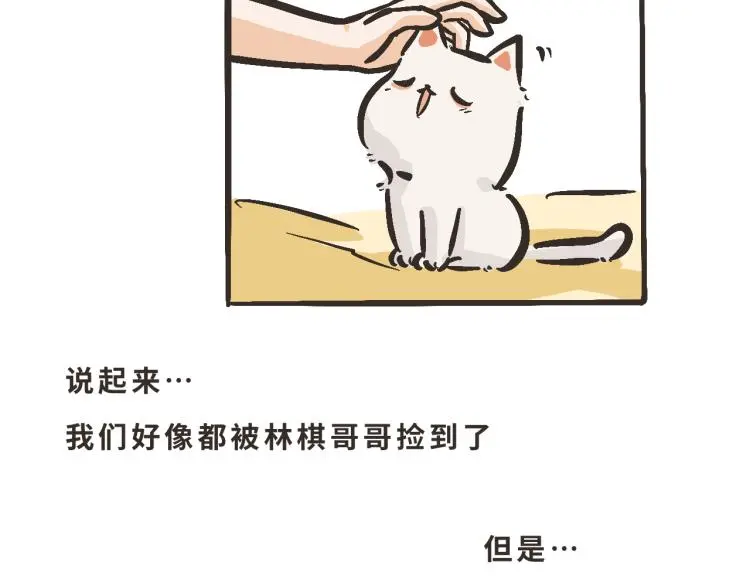 13 第二次被捡到 第59页