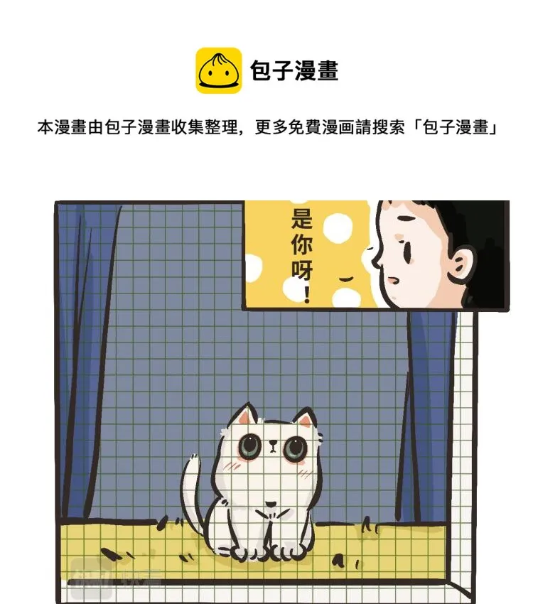 3 欸——那么近？！ 第12页
