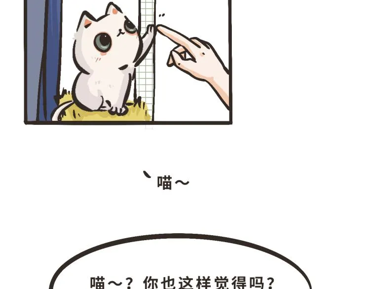 3 欸——那么近？！ 第15页