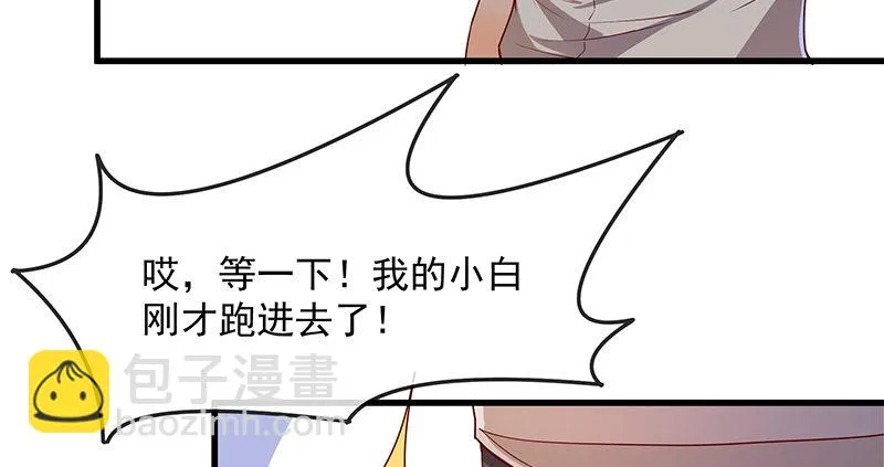 薅沈昊天的羊毛 第41页