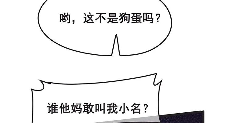 沈家剧变 第28页