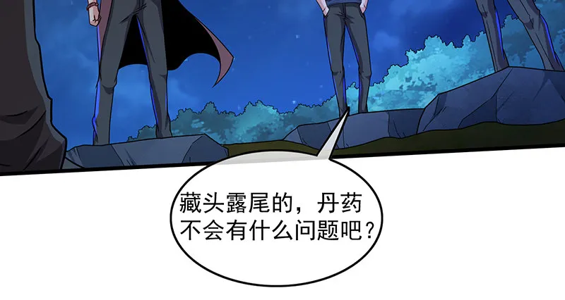 炼丹小宗师绿大暗 第52页