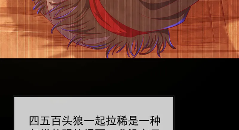 罗征在行动2 第28页