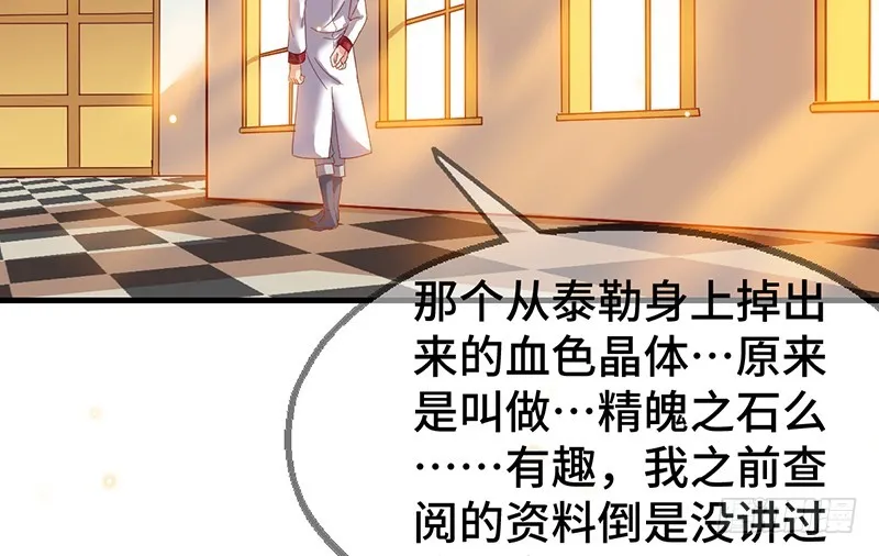 精魄之石 第87页