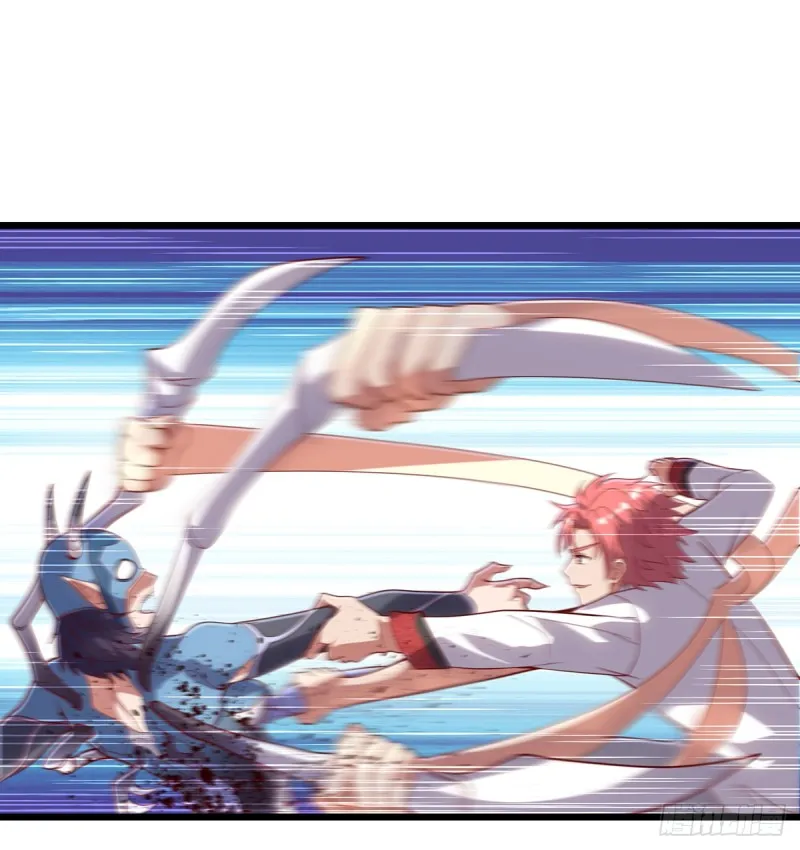 武者的宿命是战斗 第26页