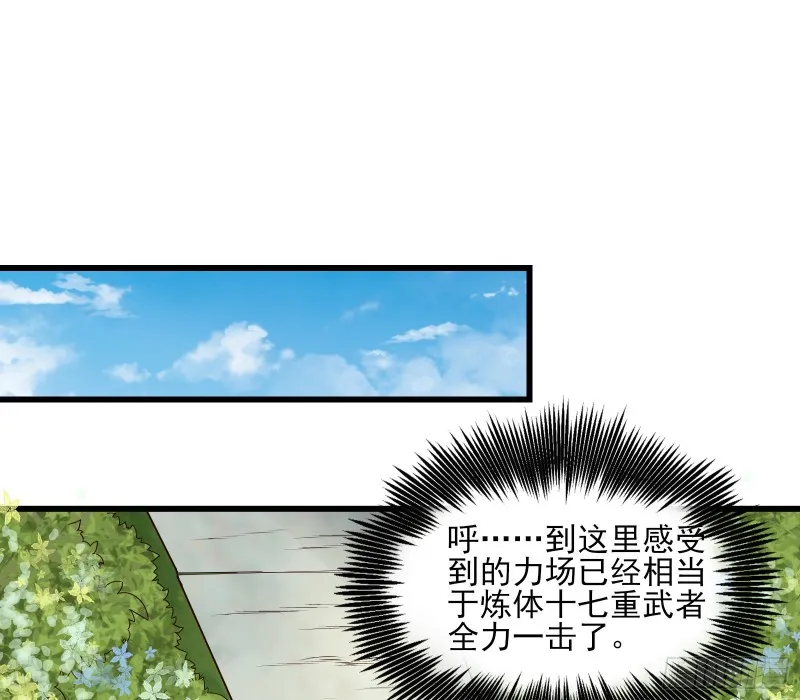 炼体无止境 第111页